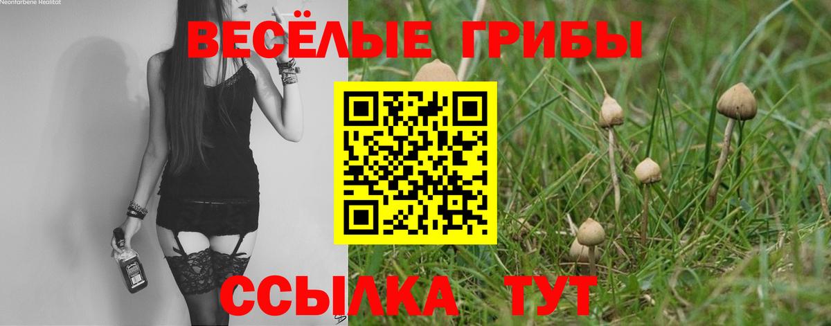 Еманжелинск  Псилоцибиновые грибы Psilocybine cubensis  Вход с VPN  купить наркотик  Псилоцибиновые грибы Cubensis 