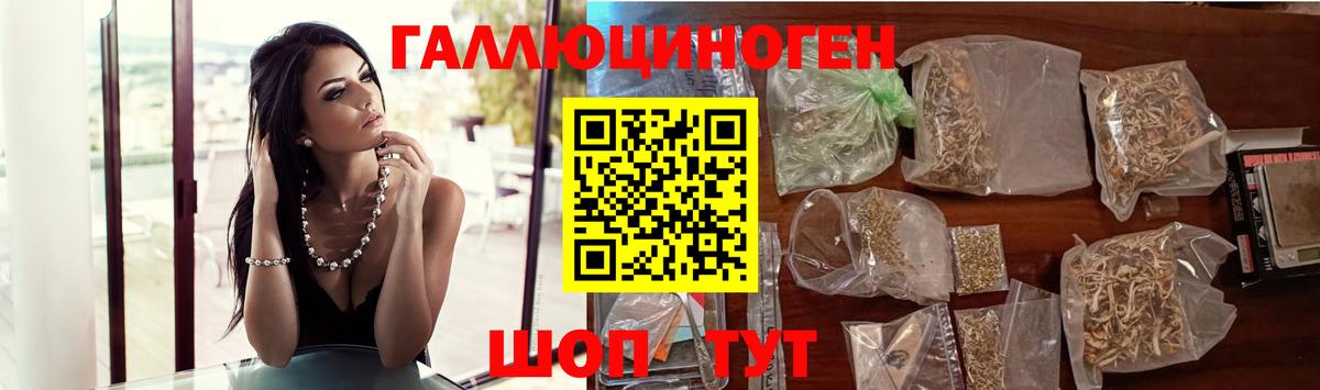 Галлюциногенные грибы Psilocybine cubensis  Еманжелинск 